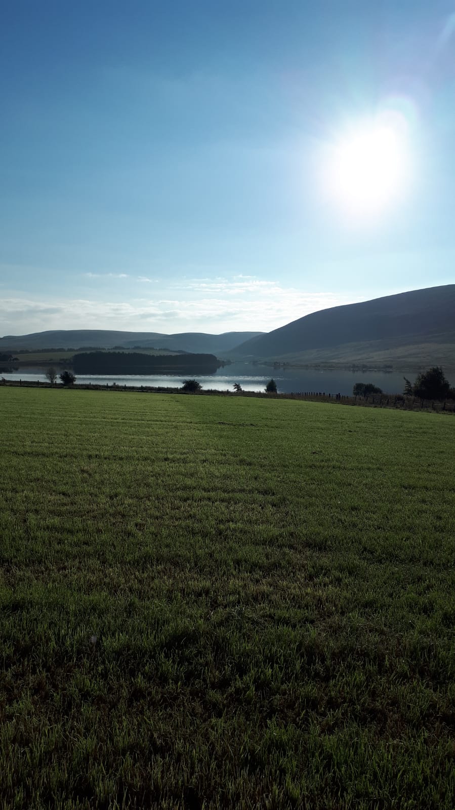 Finding Peace: The Unexpected Benefits of Fishing