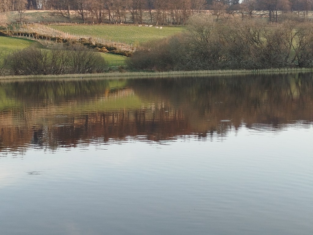 A pleasant evening afloat. Even though the fish are still not overly&nbsp;active.