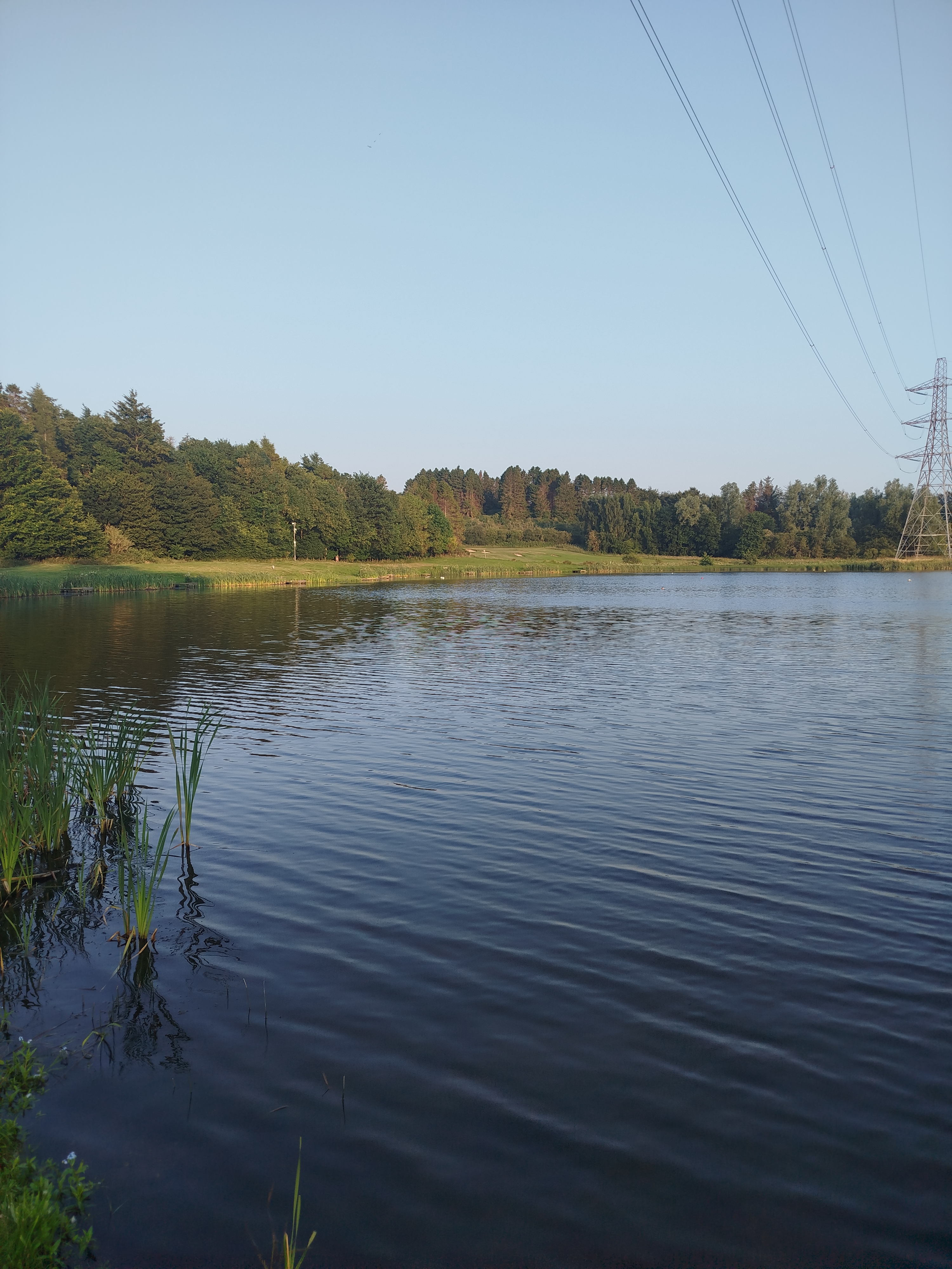 Millhall Reservoir Fly Fishing Report: Summer Trout Tactics and Results