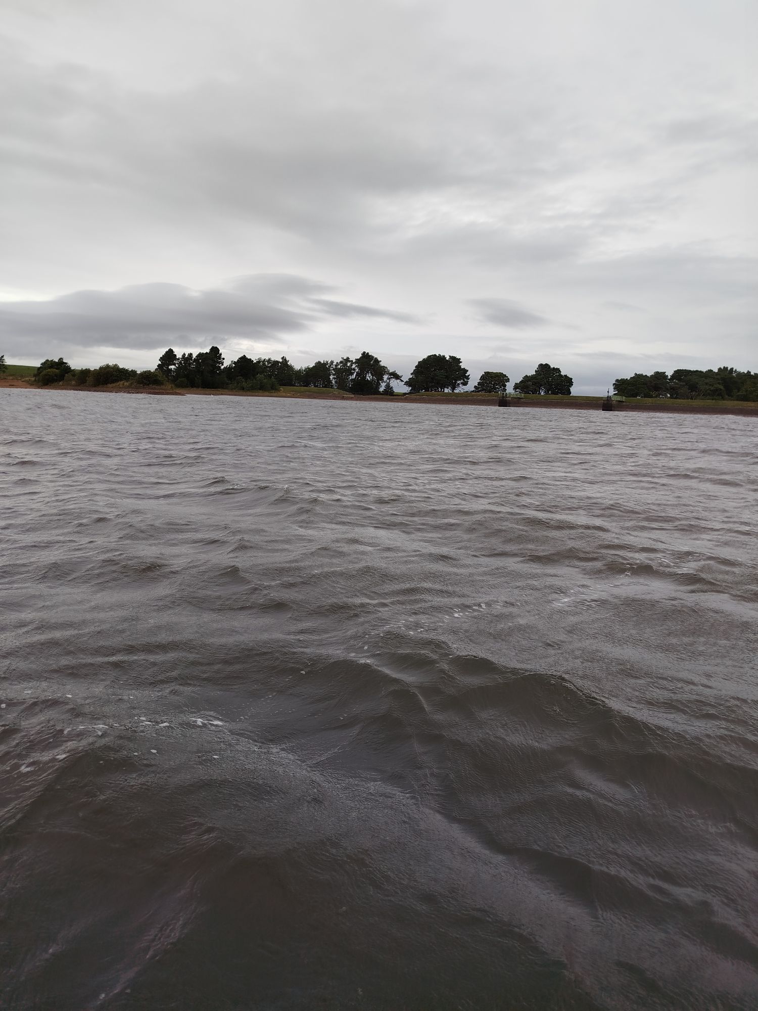 Windy Morning at Threipmuir Reservoir: 3 Rainbow trout on Cormorants